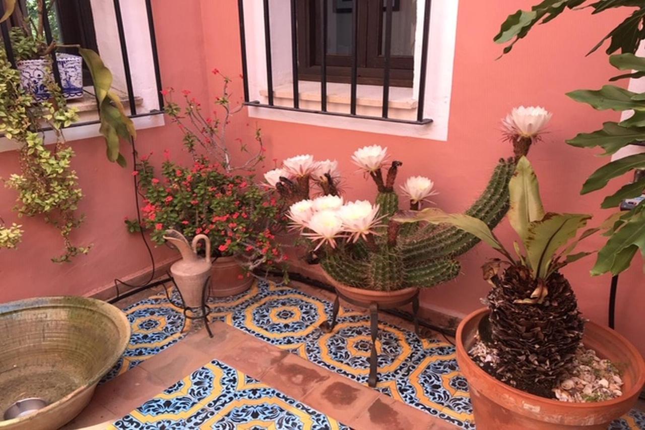 La Cortijera Villa Benidoleig ภายนอก รูปภาพ